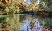 Discover the Magic of Dales Gorge in Karijini National Park